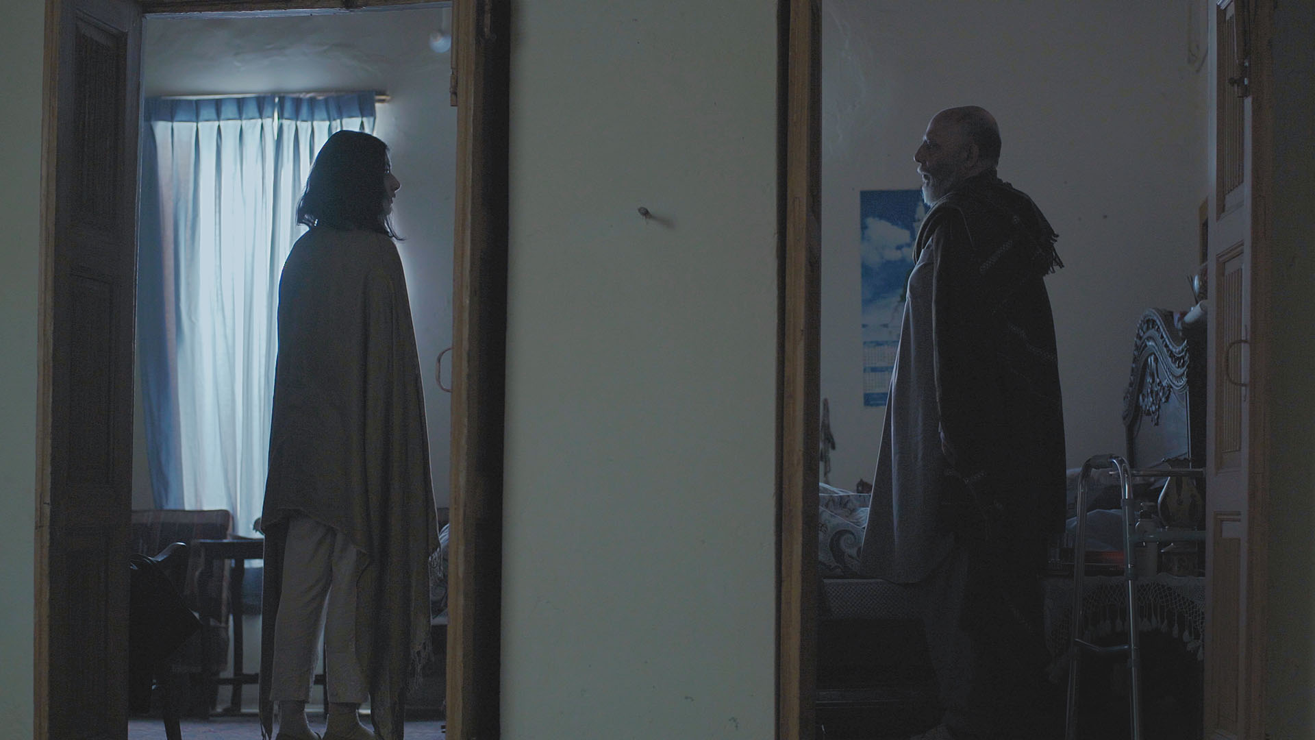 Hayat Gösterisi  görsel 0